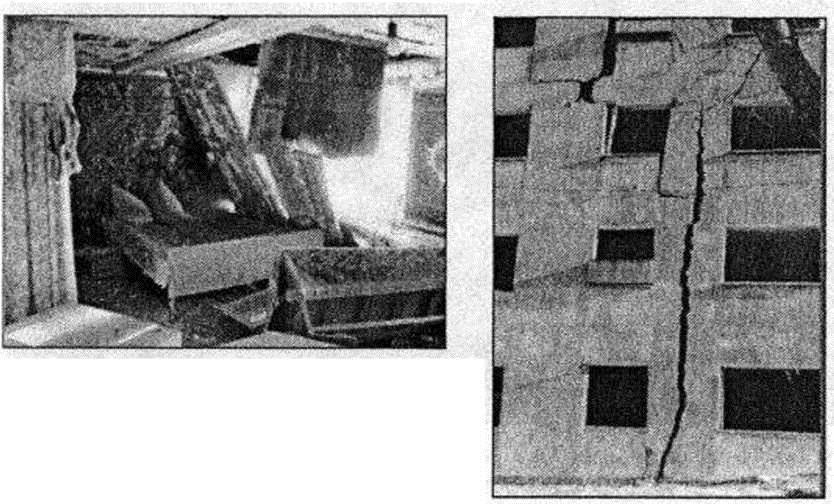 Основы безопасности жизнедеятельности. 7 класс - imgB8E7.jpg