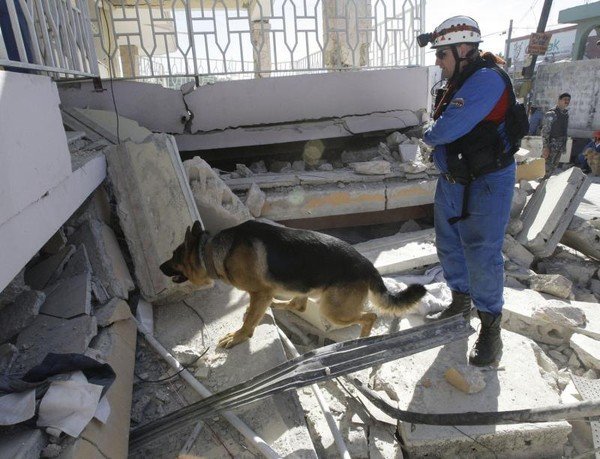 Основы безопасности жизнедеятельности. 7 класс - PoiskovayaSobaka.jpg