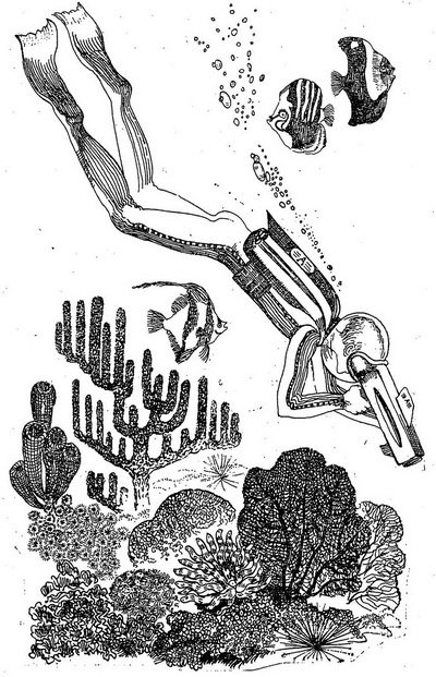 Проделки Лесовика - i_027.jpg
