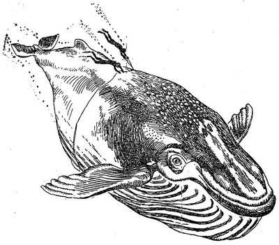 Проделки Лесовика - i_033.jpg