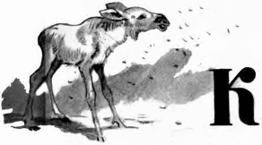 Мишуткина командировка - i_011.png