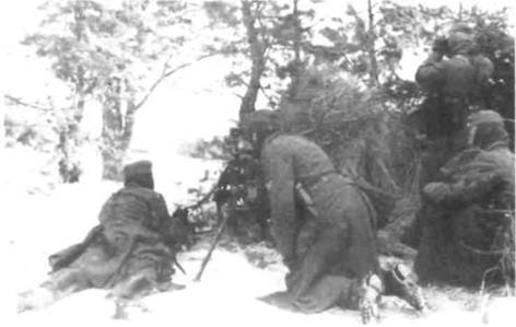 Боевое снаряжение вермахта 1939-1945 гг. - any2fbimgloader42.jpeg