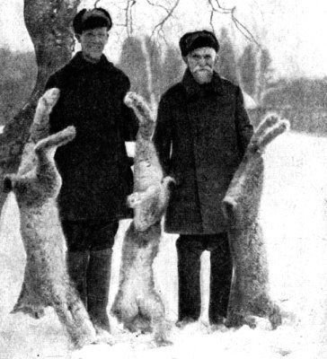 Жизнь леса - i_095.jpg