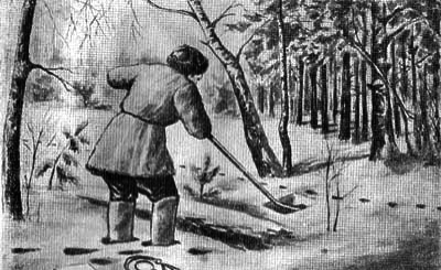 Лисица - img_23.png