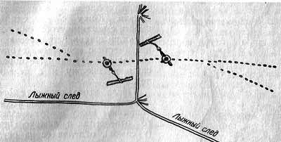 Лисица - img_25.png