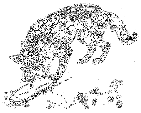 Бешеная акула - i_004.png