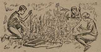 Юные натуралисты в краеведческой экспедиции - _12.jpg