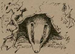 Юные натуралисты в краеведческой экспедиции - _16.jpg