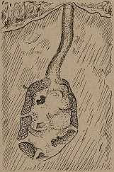 Юные натуралисты в краеведческой экспедиции - _17.jpg