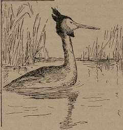 Юные натуралисты в краеведческой экспедиции - _21.jpg