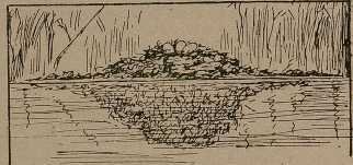 Юные натуралисты в краеведческой экспедиции - _22.jpg