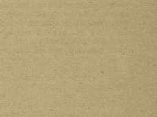 Юные натуралисты в краеведческой экспедиции - _8.jpg