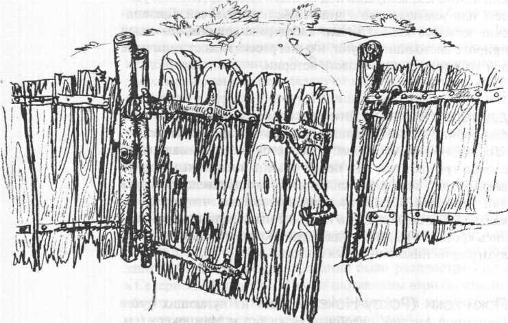 Энциклопедия: Волшебные существа - _89.jpg