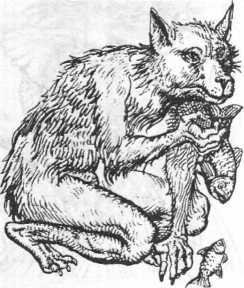 Энциклопедия: Волшебные существа - _106.jpg