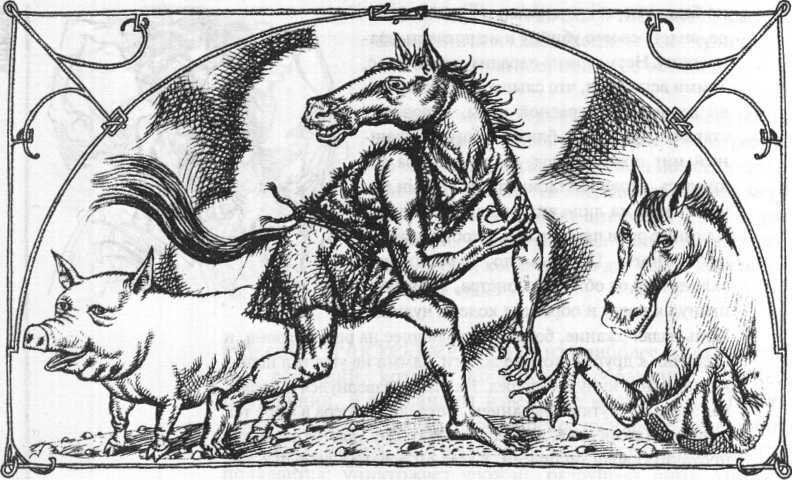 Энциклопедия: Волшебные существа - _110.jpg