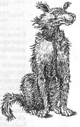 Энциклопедия: Волшебные существа - _123.jpg