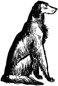 Нигер. История жизни одной собаки - doc2fb_image_03000006.png