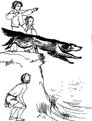 Нигер. История жизни одной собаки - doc2fb_image_03000026.png