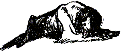 Нигер. История жизни одной собаки - doc2fb_image_03000029.png