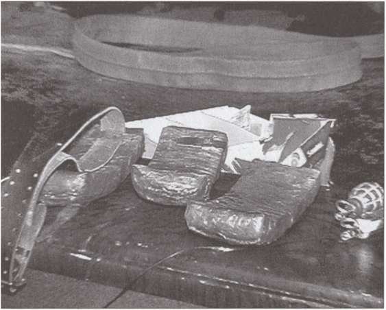 Террор на пороге - i_037.jpg