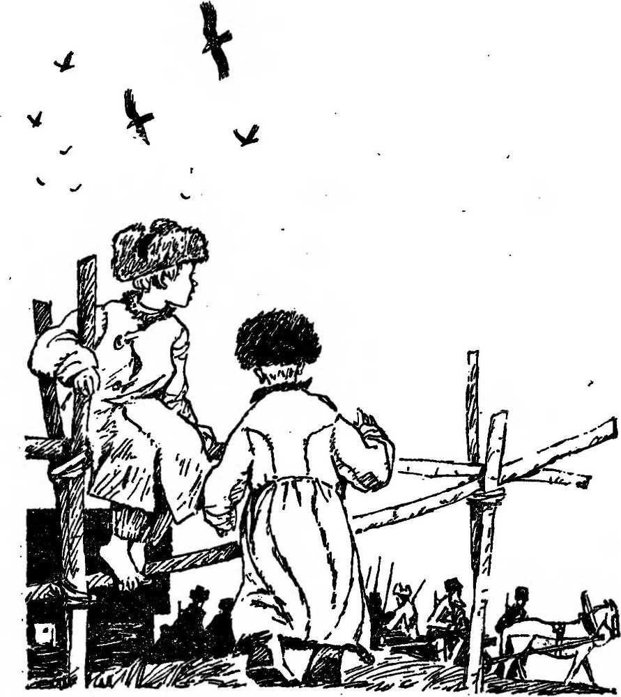 Зарницы красного лета - _3.jpg