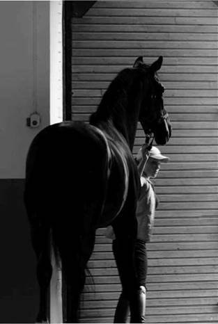 Лошадь на даче - pic_1.jpg