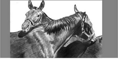 Лошадь на даче - pic_10.jpg