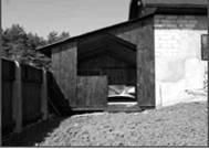 Лошадь на даче - pic_14.jpg