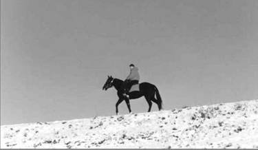 Лошадь на даче - pic_17.jpg