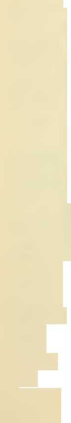 Всевидящее око. Из быта русской армии (СИ) - _18.jpg