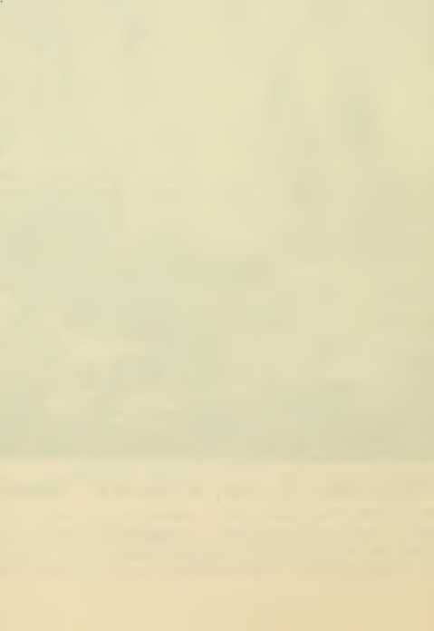 Всевидящее око. Из быта русской армии (СИ) - _22.jpg