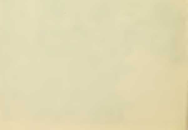 Всевидящее око. Из быта русской армии (СИ) - _29.jpg