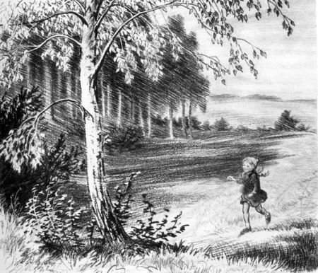 На берегах Себерянки - i_017.jpg