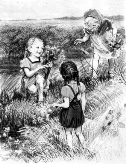 На берегах Себерянки - i_018.jpg