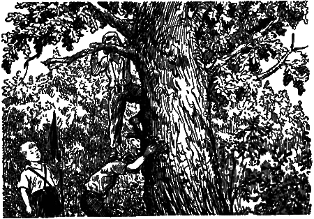 Трое отважных - i_025.png