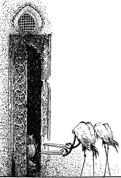 Сказки (с иллюстрациями) - i_009.png