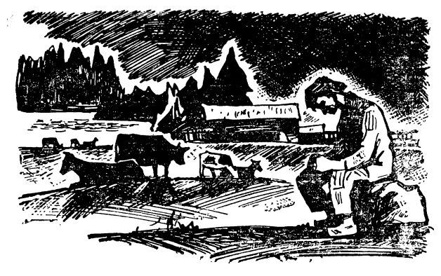 Праведная бедность: Полная биография одного финна (с иллюстрациями) - sillanpja_ill_06.jpg