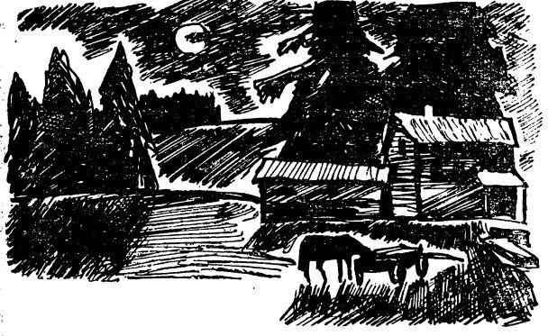 Праведная бедность: Полная биография одного финна (с иллюстрациями) - sillanpja_ill_08.jpg