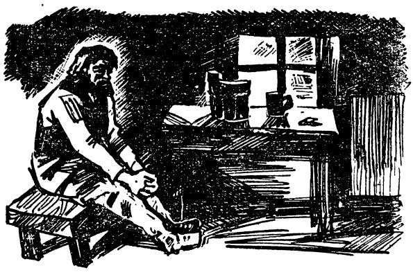 Праведная бедность: Полная биография одного финна (с иллюстрациями) - sillanpja_ill_09.jpg