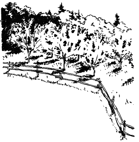 Тайны поселка Званцево - i_019.png