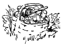 Тайны поселка Званцево - i_027.png