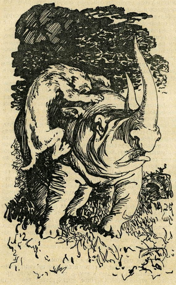 Пещерный лев (с иллюстрациями) - pic_4.jpg