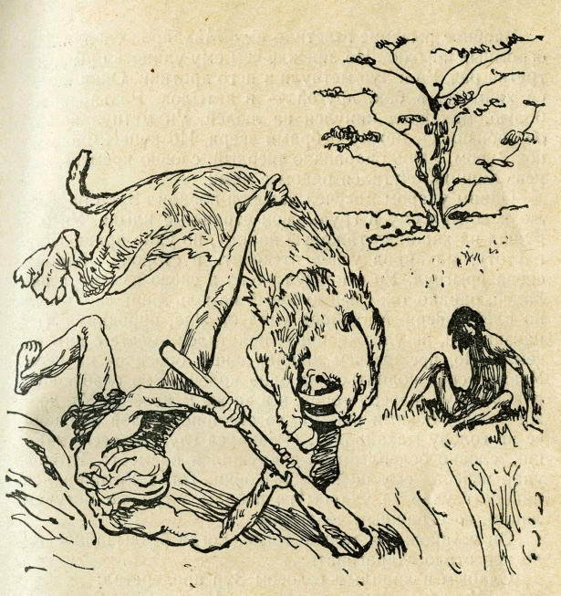 Пещерный лев (с иллюстрациями) - pic_6.jpg