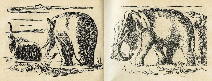 Пещерный лев (с иллюстрациями) - pic_8.jpg