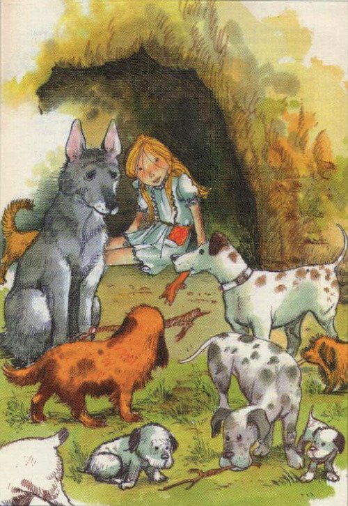 Барбара и летние собаки - i_001.jpg