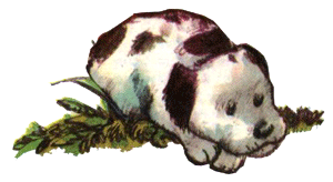 Барбара и летние собаки - i_011.png