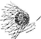 Поиски знаменитостей - i_013.png