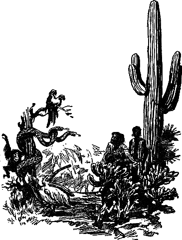 Человек-амфибия (с иллюстрациями) - i_004.png