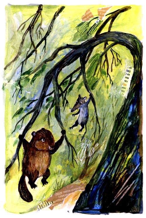 Торпи - pic_19.jpg