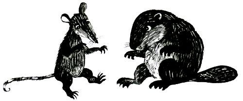 Торпи - pic_20.jpg